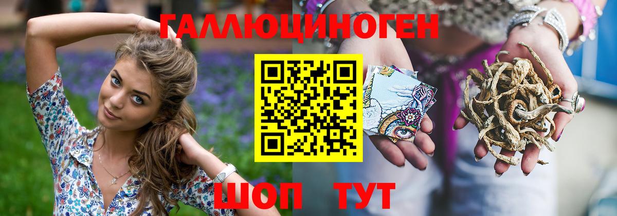 Галлюциногенные грибы Magic Shrooms  купить закладку  Каменск-Шахтинский  Галлюциногенные грибы GOLDEN TEACHER  Вход с VPN 